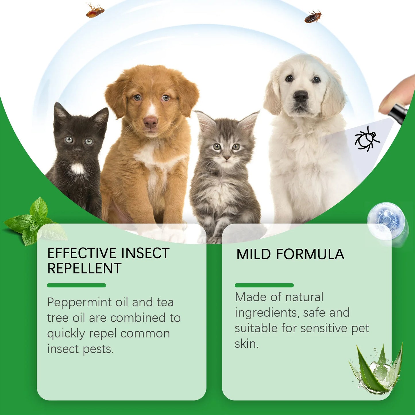 BugsDefend – Natural Flea & Tick Protection That Works Fast and Keeps Pets Safe